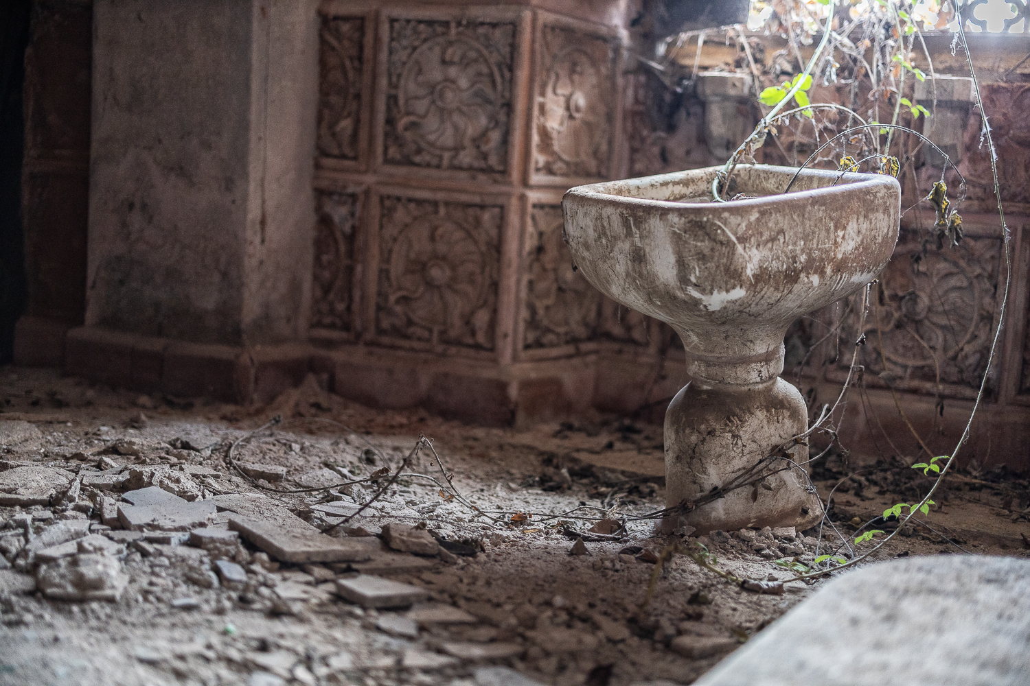 Abandoned Marene Castle In Italy